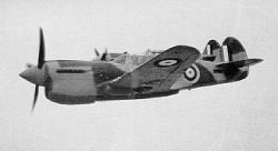 P40