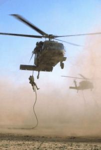 Pavehawk