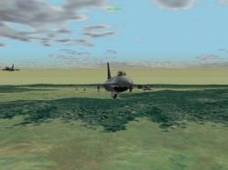 Falcon in Flight