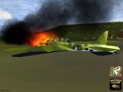 IL-2