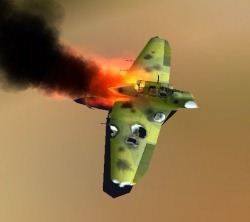 IL-2