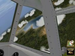 IL-2
