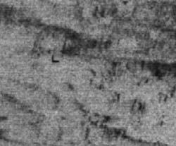 425d